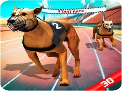Spel Crazy Dog Race på nätet