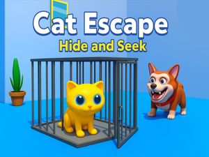 Spel Katt fly döljer och söker på nätet