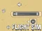 Spel Flight Sim på nätet