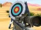 Spel Hit Targets Shooting på nätet