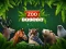 Spel ZOO Trivia på nätet