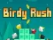 Spel Birdy Rush på nätet