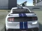Spel Y8 Multiplayer Stunt Cars på nätet