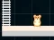 Spel Hamster Grid Even Odd på nätet