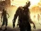 Spel Stupid Zombies Hunt på nätet