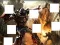 Spel Transformers 3 image puzzles på nätet