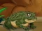 Spel Frogs Matching på nätet
