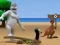 Spel Albatross Overload på nätet