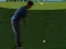 Spel Flash Golf 3D på nätet