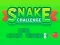 Spel Snake Challenge på nätet