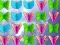 Spel Butterfly Collector på nätet