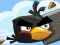Spel Crazy Birds på nätet