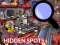 Spel Hidden Spots In The Room på nätet