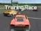 Spel Training Race på nätet