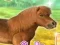Spel My Dear Pony på nätet