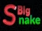 Spel Big Snake.io på nätet