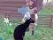 Spel Deer Simulator 3D på nätet