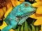 Spel Ultimate Puzzles Animals 6 på nätet