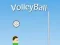 Spel VolleyBall på nätet