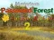 Spel Mysterious Password Forest Autumn Edition 2 på nätet