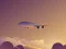 Spel Vacation Airplanes Jigsaw på nätet