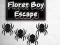 Spel Floret Boy Escape på nätet