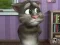 Spel Talking Tom Cat 2 på nätet