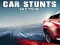Spel Car Stunts Sky Tour på nätet