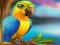 Spel Little Parrot Escape på nätet