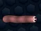Spel Math Slither på nätet