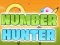 Spel Number Hunter på nätet