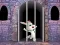 Spel Victory Rabbit Escape på nätet