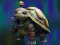 Spel Isolated Turtle Escape på nätet