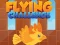 Spel Flying Challenge på nätet