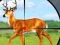 Spel Wild Hunt Hunting Games 3D på nätet