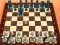 Spel Chess Master 3D på nätet