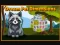 Spel Dream Pet Dimensions på nätet