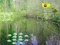 Spel Sunlight Forest Adventure på nätet