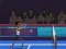Spel Badminton Brawl på nätet