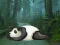 Spel Wakeup The Sleeping Panda på nätet