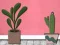 Spel Find Houseplant på nätet
