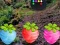 Spel Escape From Fascinated Jungle på nätet