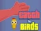 Spel Catch the Birds på nätet