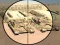 Spel Camo Sniper på nätet