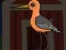Spel Cute Godwit Escape på nätet