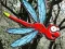 Spel Escape From Dragonfly Forest på nätet