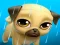 Spel My Virtual Pet Louie the Pug på nätet