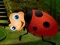 Spel Rescue The Couple Bug på nätet
