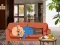 Spel Wakeup The Grandpa på nätet