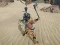 Spel The Scythian Warrior på nätet